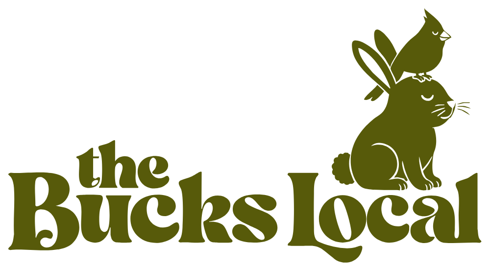 The Bucks Local